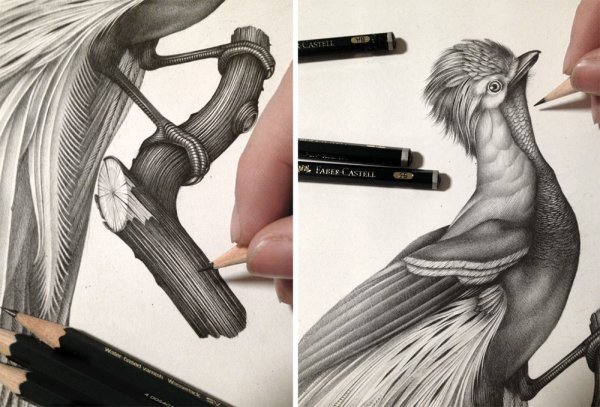 Картины карандашом