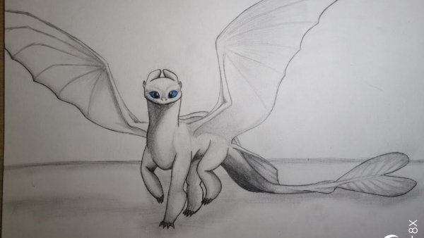 Дневная фурия рисунок карандашом