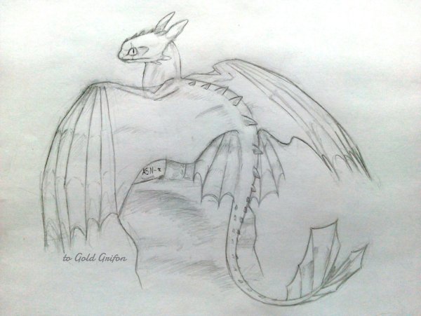 Раскраска Беззубик ночная фурия