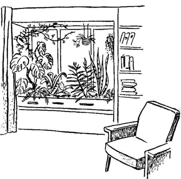 Пейзаж леса рисунок карандашом