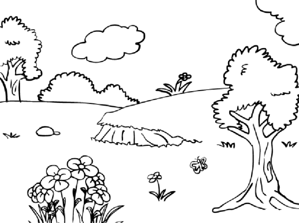 Рисунки карандашом природа