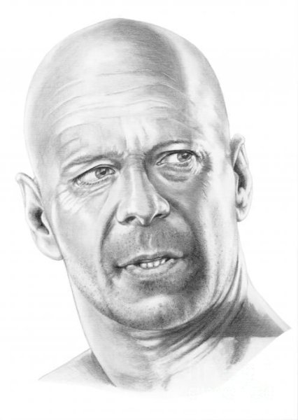 Шейлин Вудли портрет