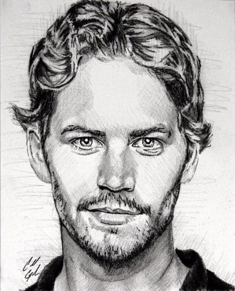 Портрет рисунок Анджелины Джоли