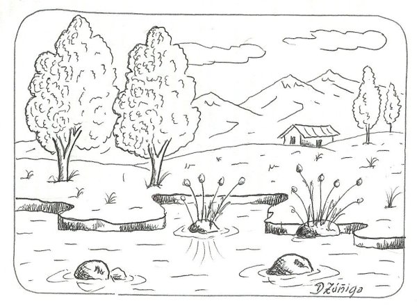 Весенний пейзаж раскраска