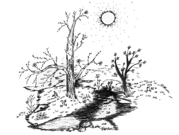 Весна рисунок карандашом