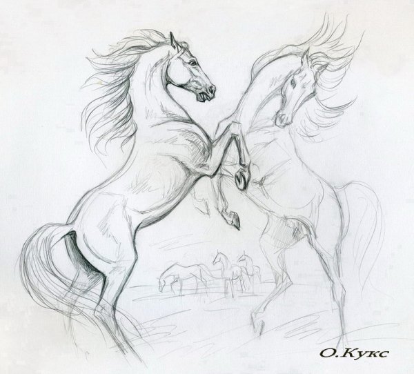 Лошадь рисунок карандашом