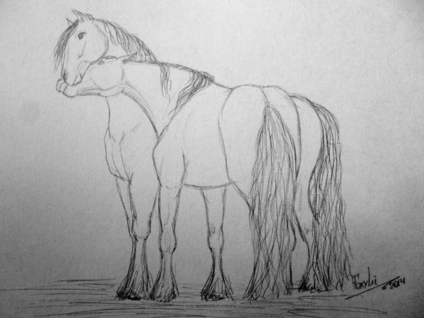 Красивые рисунки лошадей для срисовки