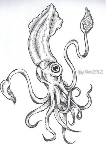 Кальмар раскраска для детей