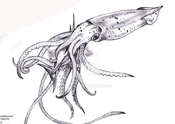 Кракен щупальца Illustrator