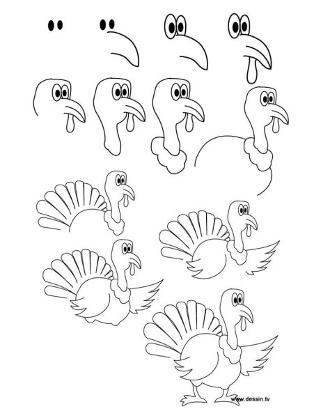 Индюк рисунок поэтапно