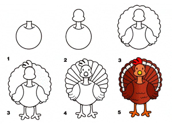 Индюк рисунок поэтапно