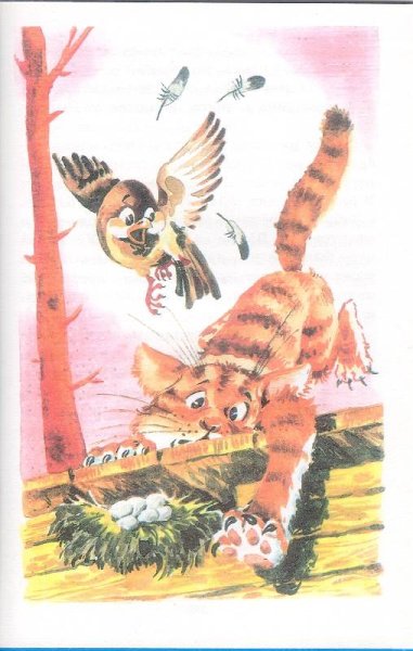 Виталий Бианки иллюстрации к произведениям