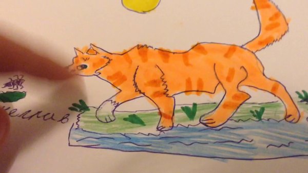 Срисовки котов воителей карандашом