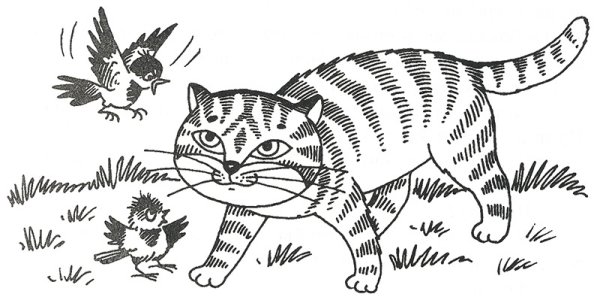 Раскраска к сказке Воробьишко Горький