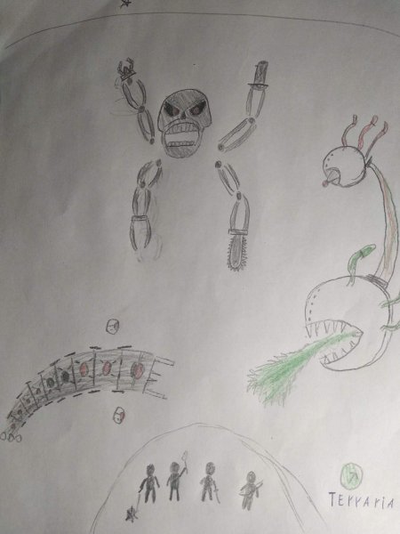 Террария рисунки карандашом