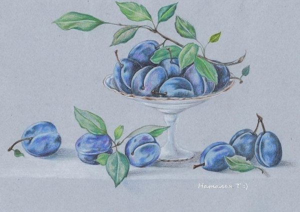 Слива раскраска для малышей