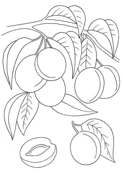 Рисунки цветными карандашами легкие