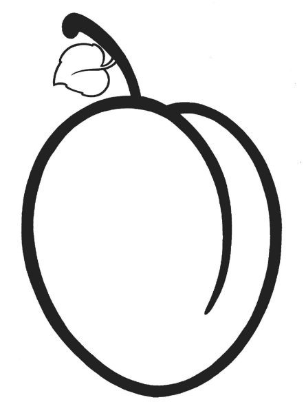 Абрикос раскраска