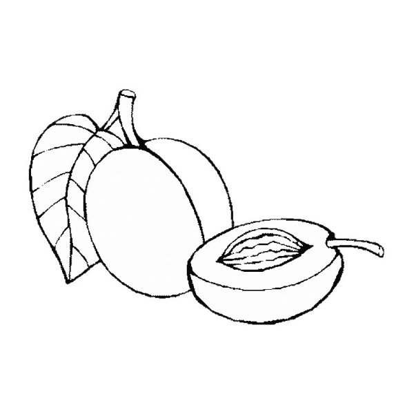 Фрукты и ягоды раскраска для детей