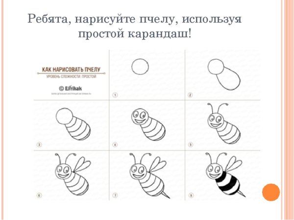 Пчела для срисовки