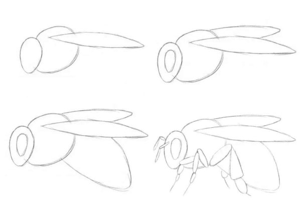 Рисунок пчелы для срисовки