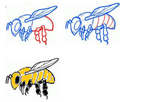Пчела реалистично карандашом