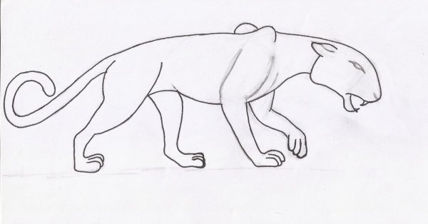 Пантера рисунок карандашом для детей