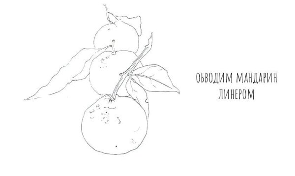 Чиновник мандарин нарисовать поэтапно