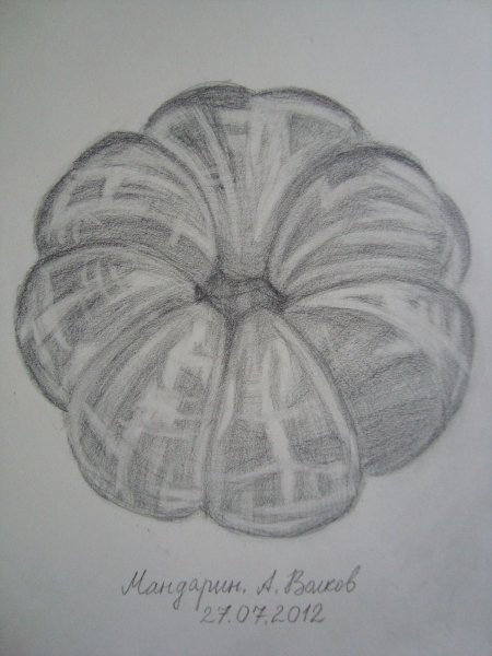 Мандарин рисунок карандашом