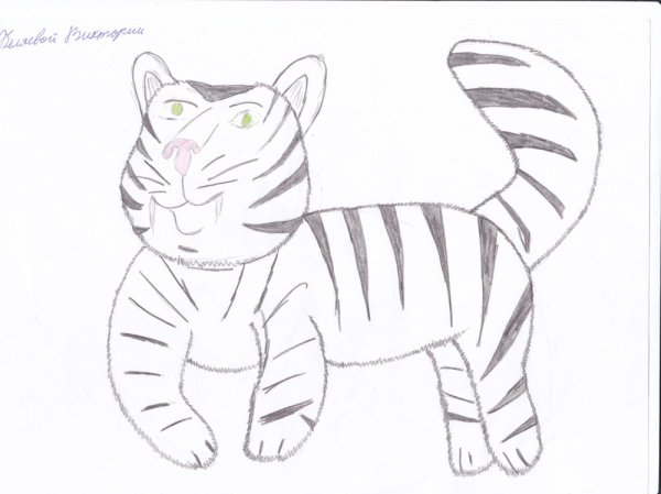 Детский рисунок тигра карандашом