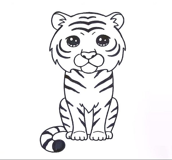 Тигр карандашом для детей