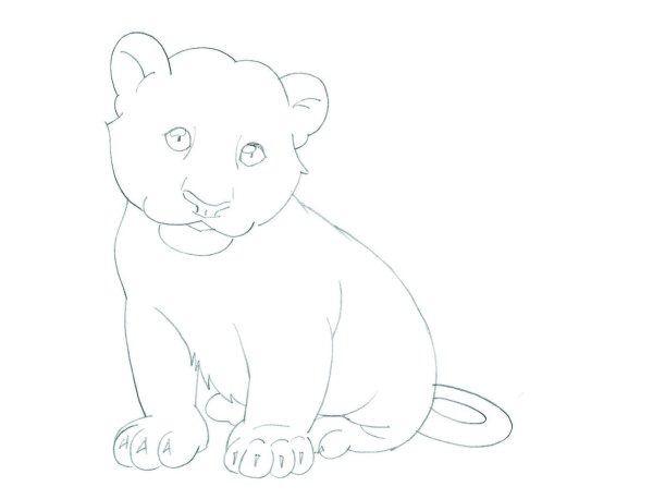 Тигренок рисунок карандашом