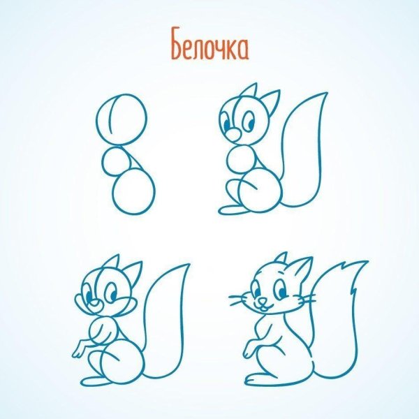 Как нарисовать белку карандашом поэтапно