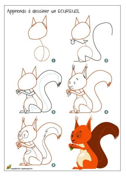 Белка сбоку рисунок