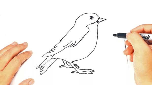 Как нарисовать птичку