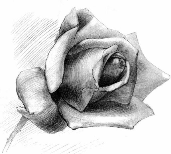 Рисунки карандашом