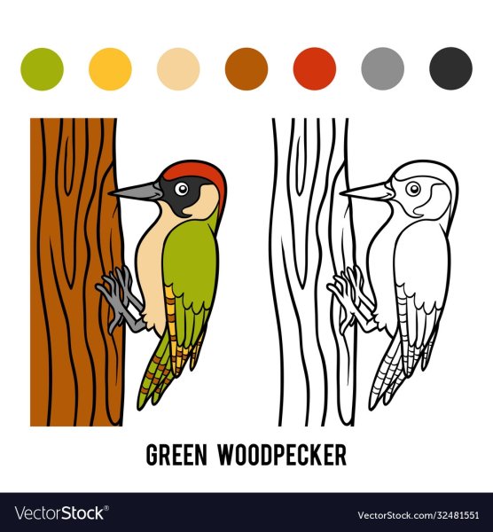 Дятел рисунок