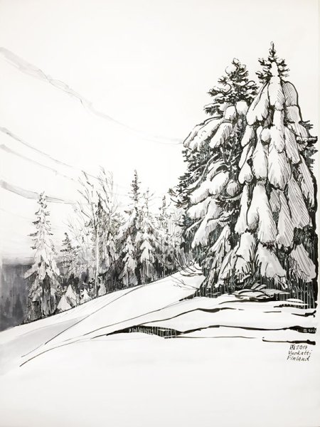 Зимний лес карандашом