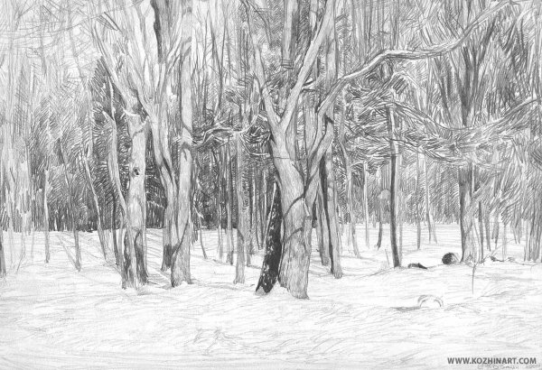 Рисунки леса карандашом для начинающих