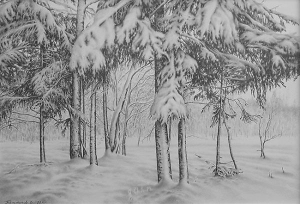 Зимний лес рисунок карандашом