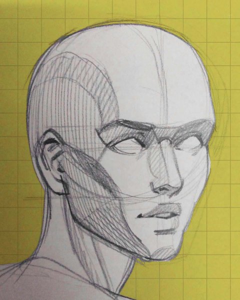 Зарисовки головы человека