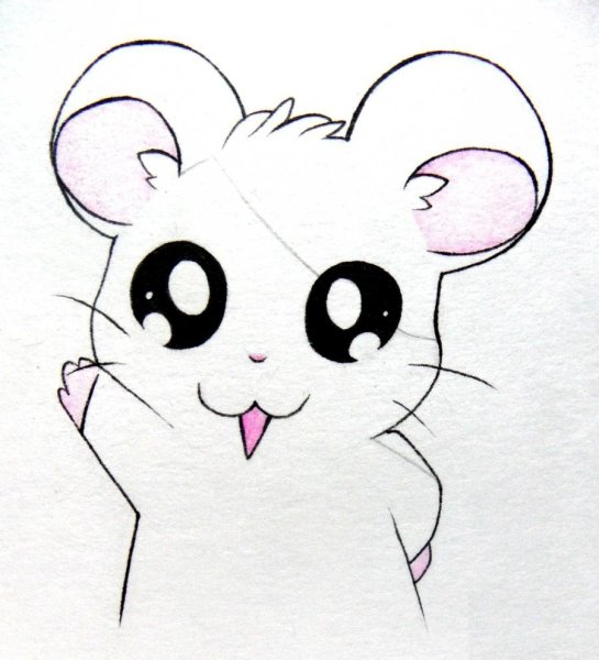 Рисунки для срисовки лёгкие