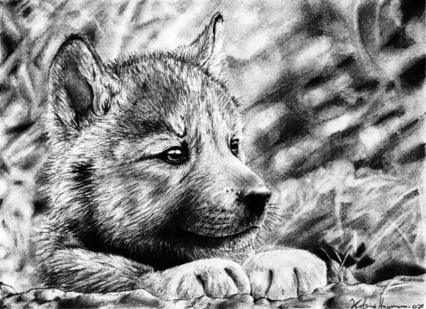 Разбитое сердце карандашом для срисовки