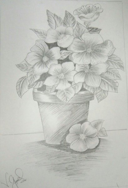 Букет рисунок карандашом