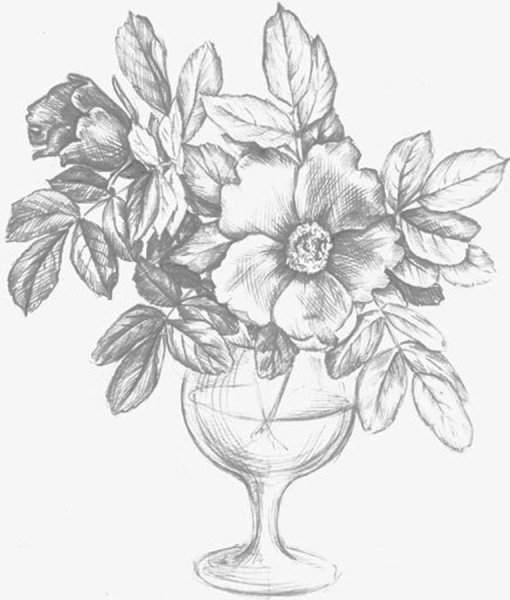 Цветы в вазе рисунок карандашом