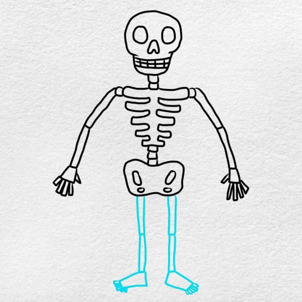 Поэтапное рисование скелета