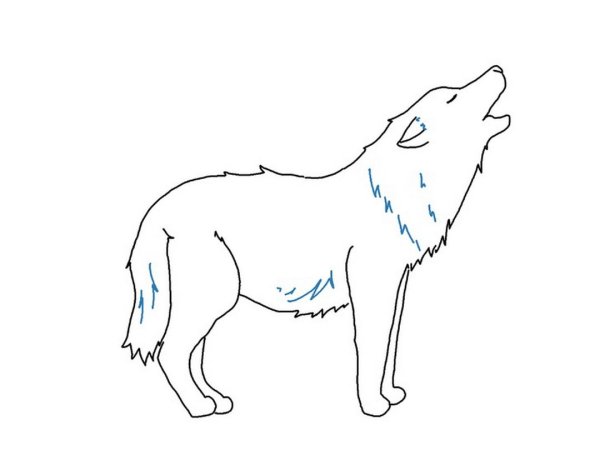 Волк карандашом для детей