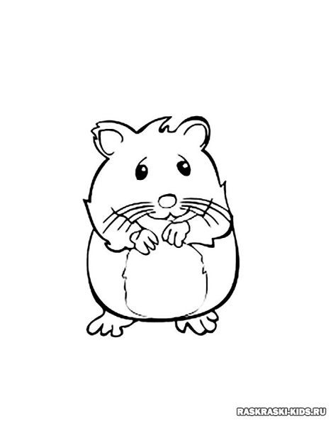Хомяк рисунок карандашом