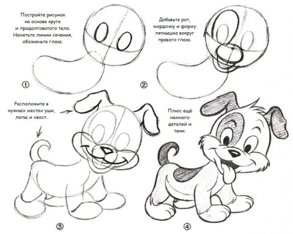 Тюльпаны карандашом