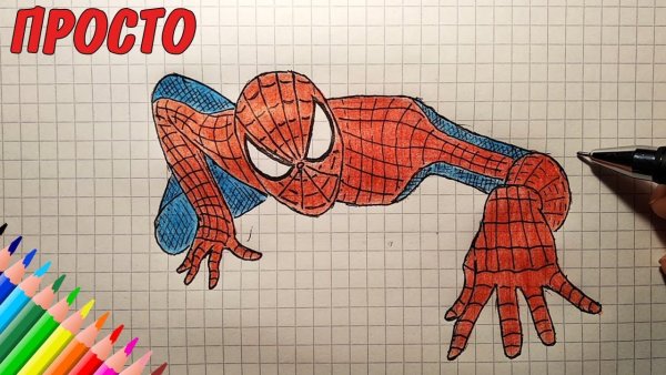 Как нарисовать человек-паук 4